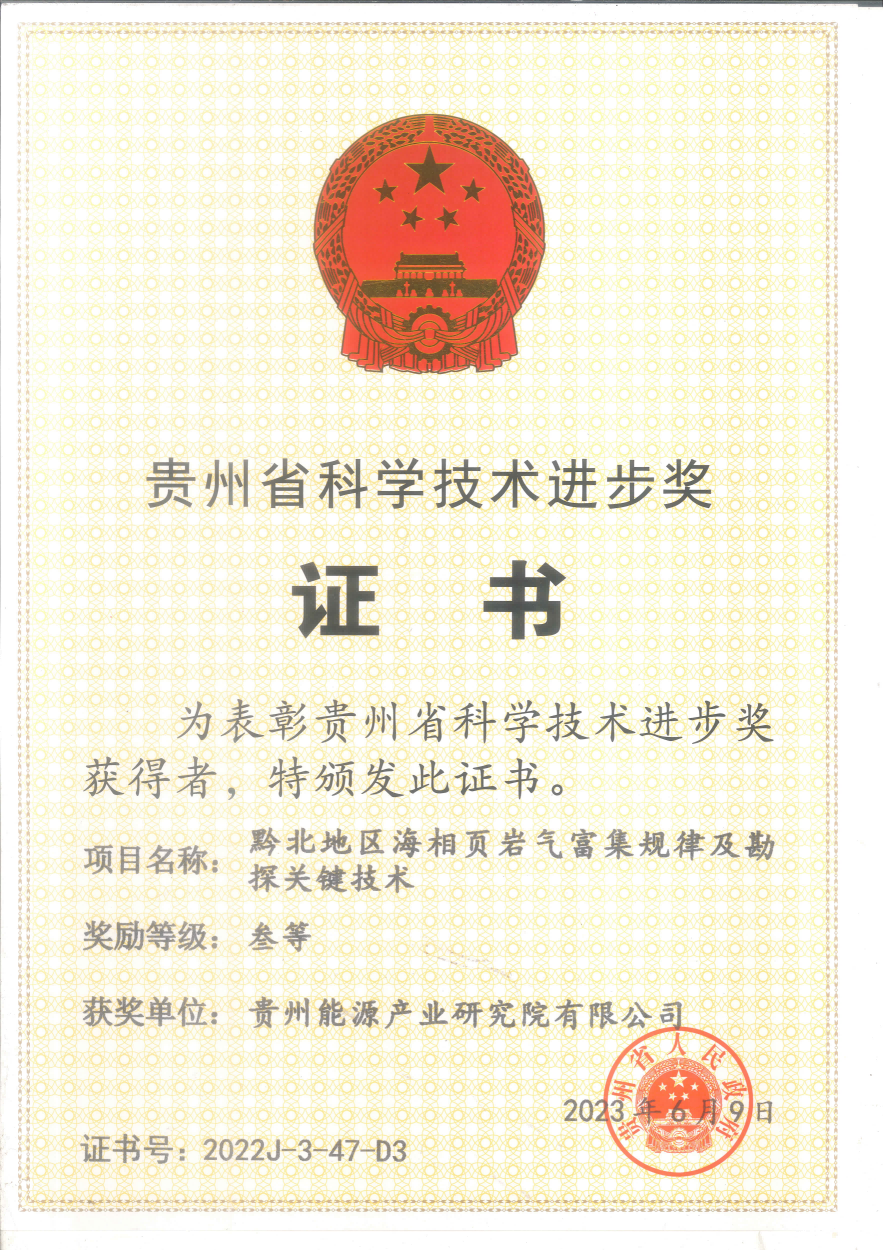 位置3_贵州省科学技术进步奖证书(贵州能源产业研究院有限公司)_01(1).png